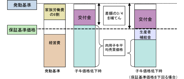 協会からのお知らせ
